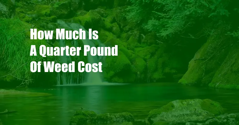 How Much Is A Quarter Pound Of Weed Cost