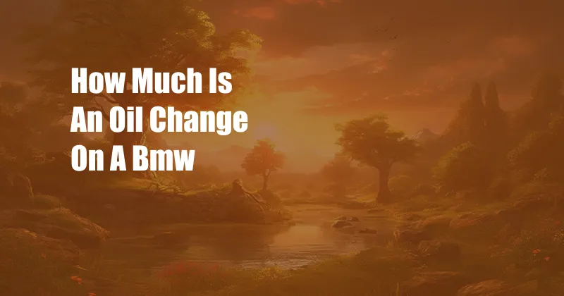 How Much Is An Oil Change On A Bmw