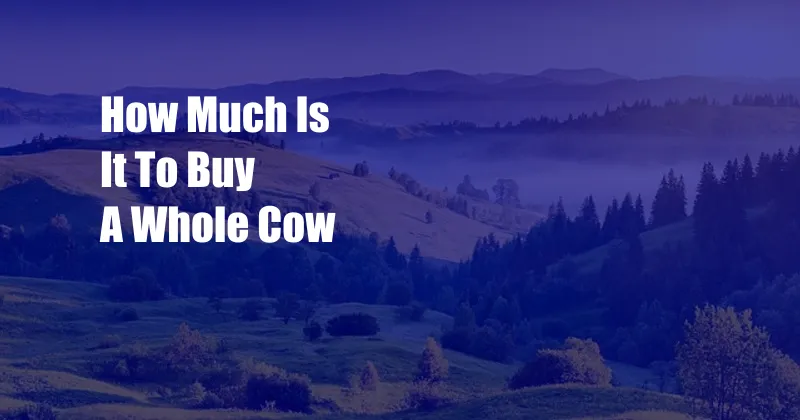 How Much Is It To Buy A Whole Cow