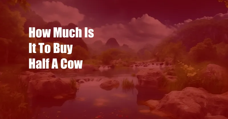 How Much Is It To Buy Half A Cow