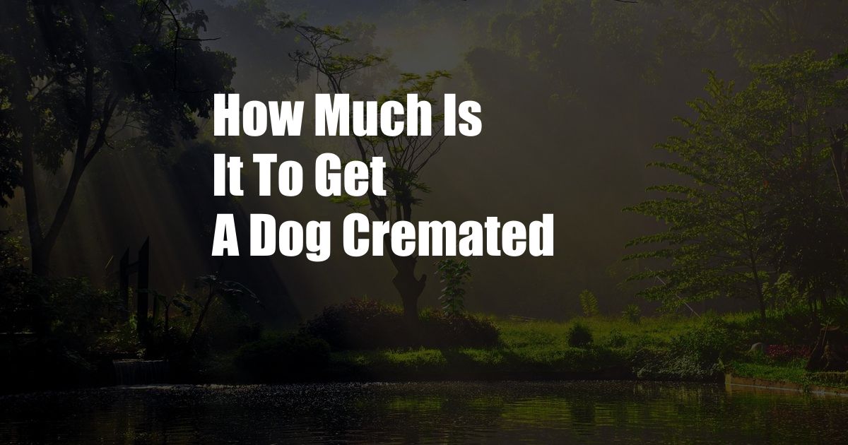 How Much Is It To Get A Dog Cremated