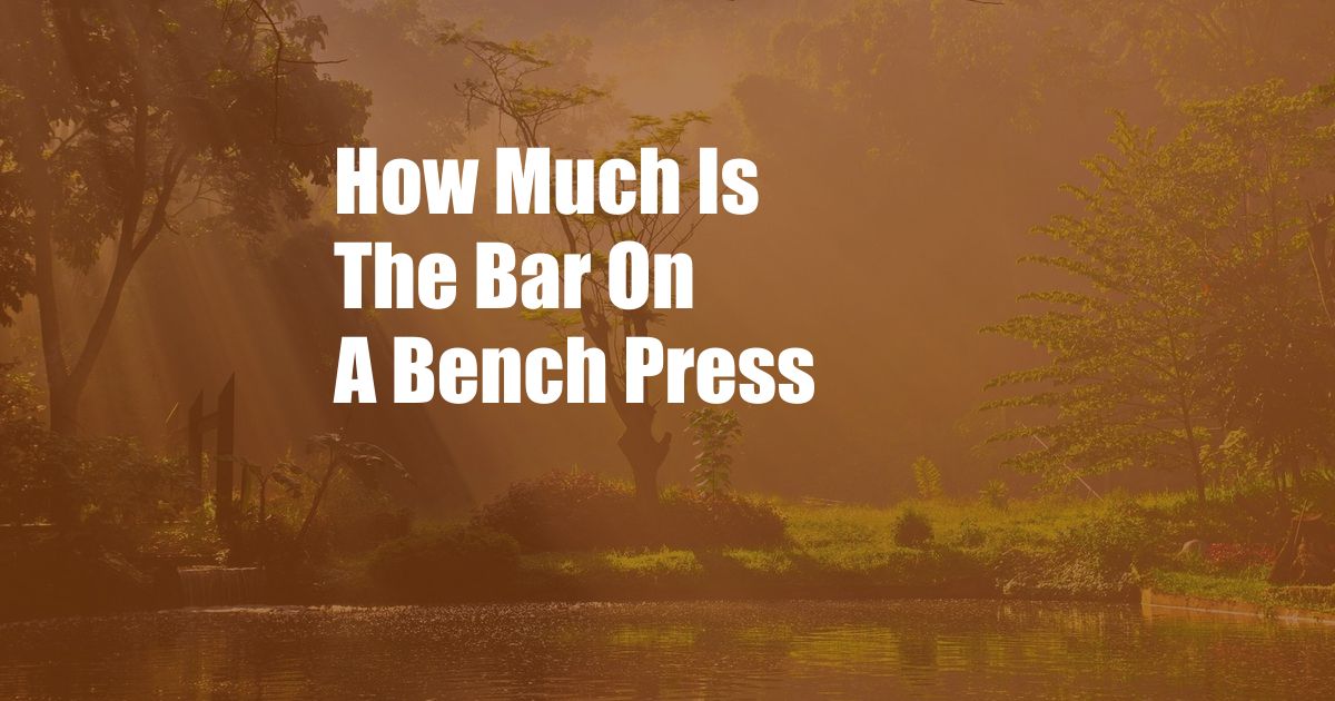 How Much Is The Bar On A Bench Press