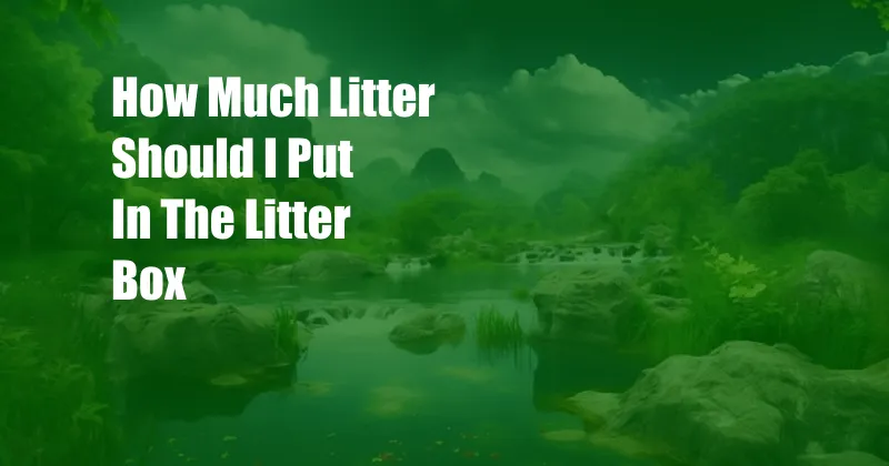 How Much Litter Should I Put In The Litter Box