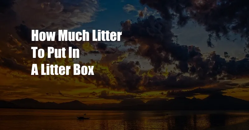 How Much Litter To Put In A Litter Box