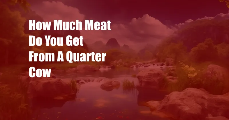 How Much Meat Do You Get From A Quarter Cow