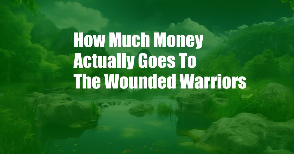How Much Money Actually Goes To The Wounded Warriors