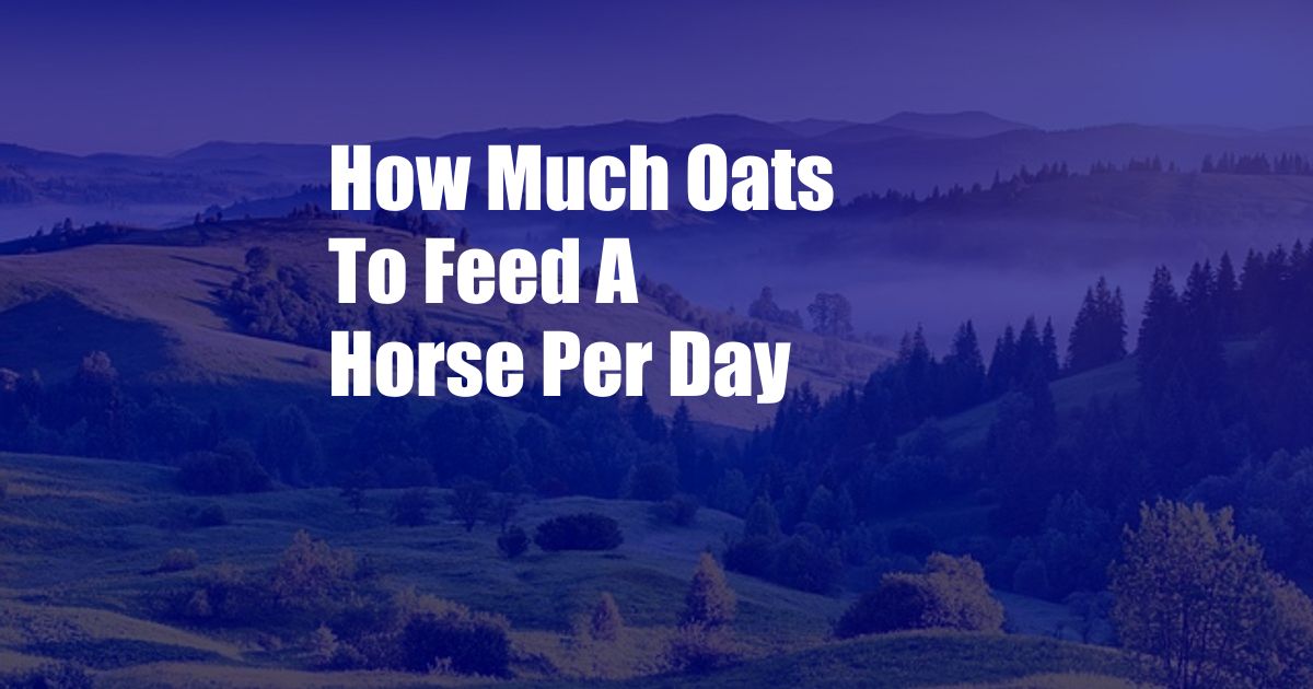 How Much Oats To Feed A Horse Per Day