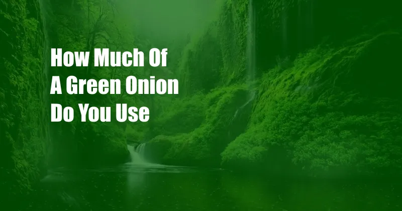 How Much Of A Green Onion Do You Use