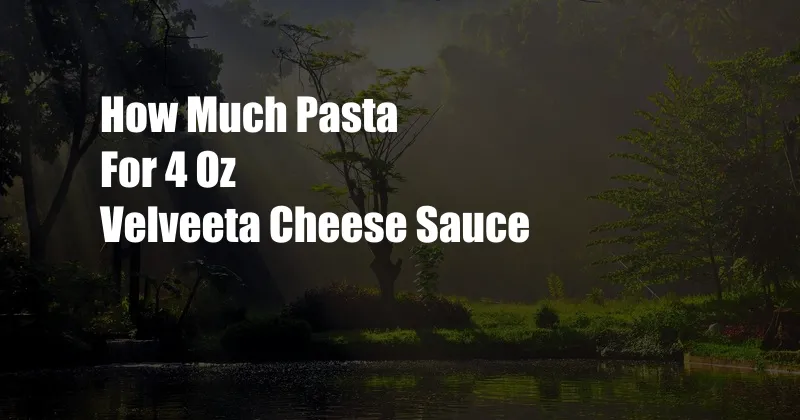 How Much Pasta For 4 Oz Velveeta Cheese Sauce