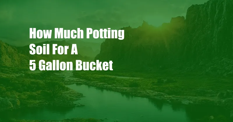 How Much Potting Soil For A 5 Gallon Bucket