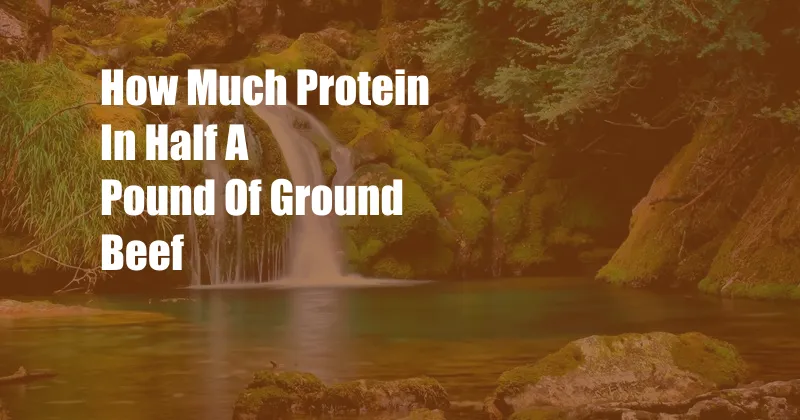 How Much Protein In Half A Pound Of Ground Beef