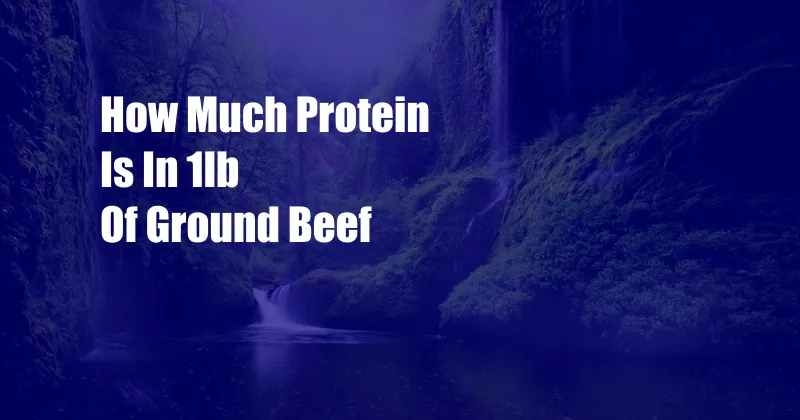 How Much Protein Is In 1lb Of Ground Beef