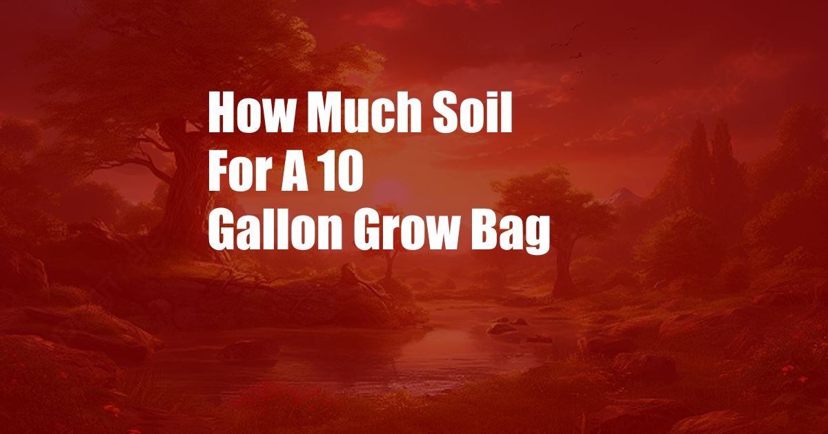 How Much Soil For A 10 Gallon Grow Bag