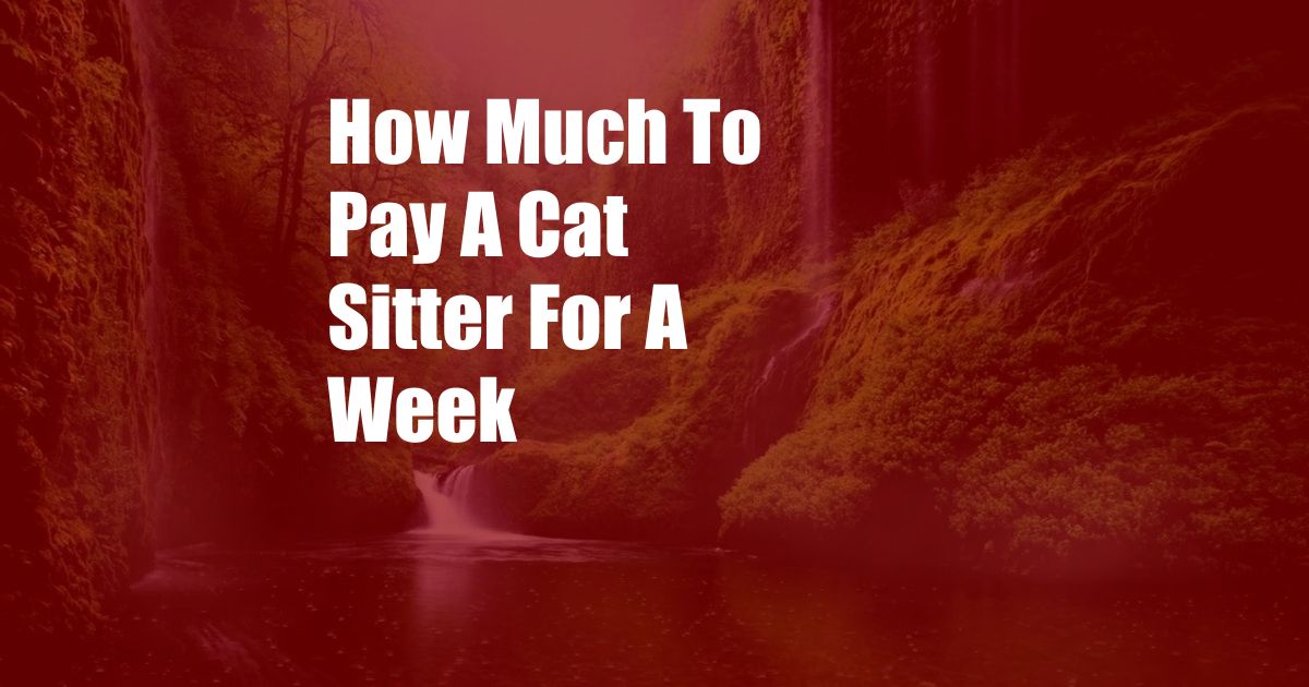 How Much To Pay A Cat Sitter For A Week