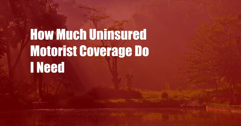 How Much Uninsured Motorist Coverage Do I Need 