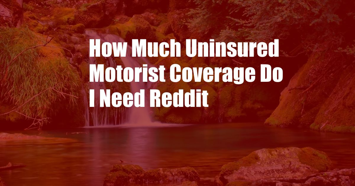 How Much Uninsured Motorist Coverage Do I Need Reddit