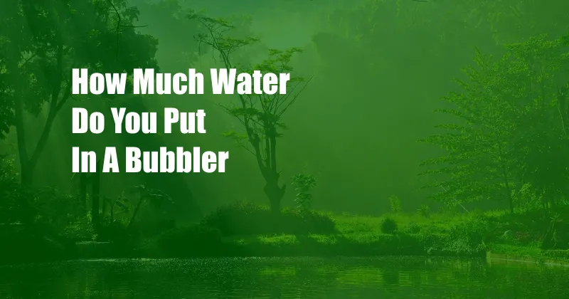How Much Water Do You Put In A Bubbler