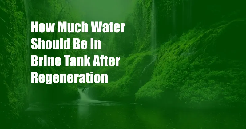 How Much Water Should Be In Brine Tank After Regeneration