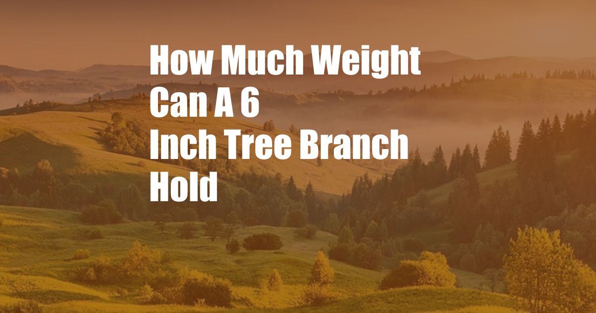 How Much Weight Can A 6 Inch Tree Branch Hold