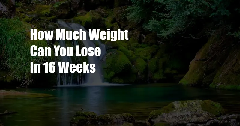 How Much Weight Can You Lose In 16 Weeks