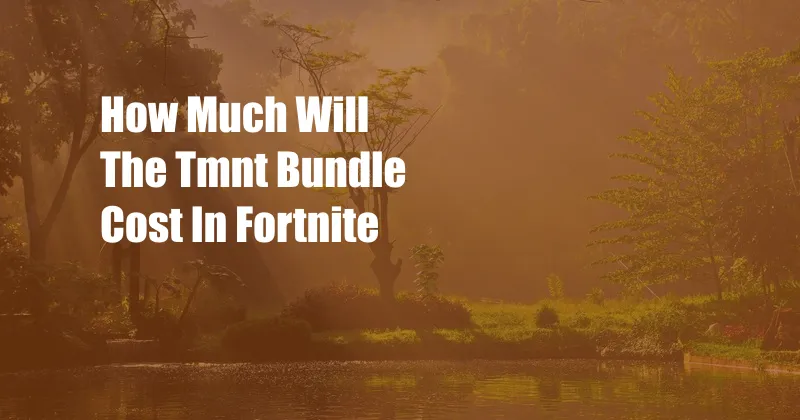 How Much Will The Tmnt Bundle Cost In Fortnite