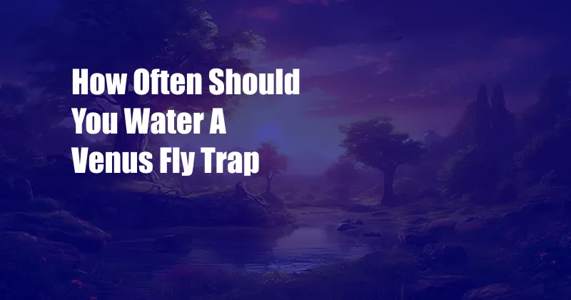 How Often Should You Water A Venus Fly Trap