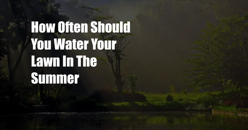 How Often Should You Water Your Lawn In The Summer