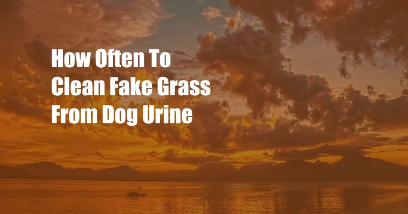 How Often To Clean Fake Grass From Dog Urine