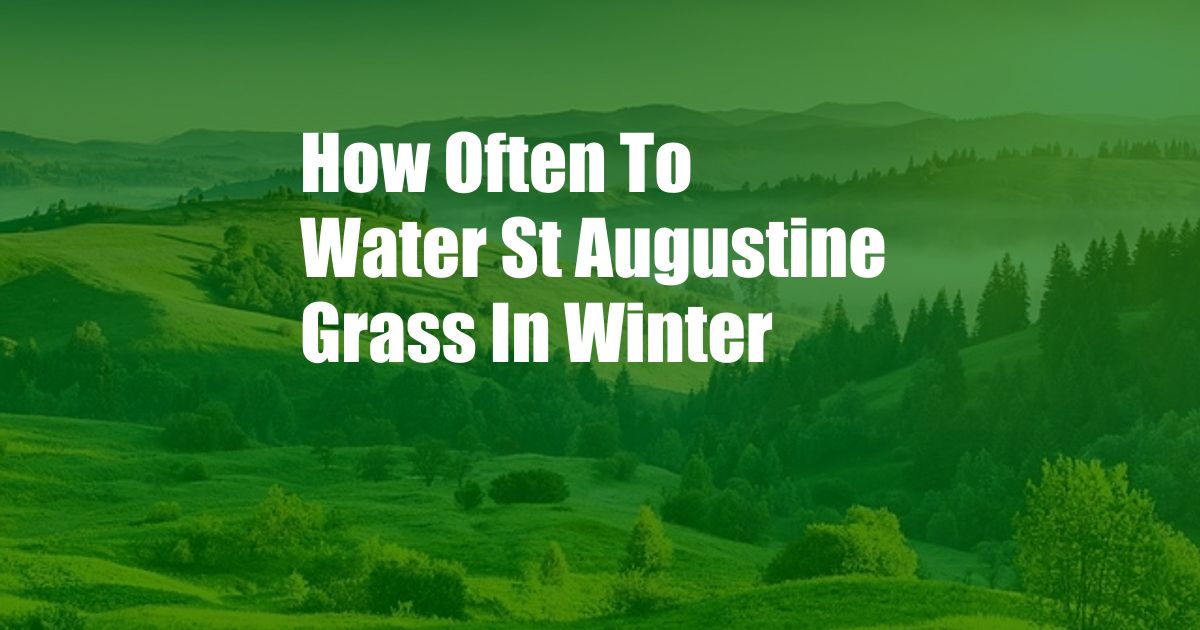 How Often To Water St Augustine Grass In Winter