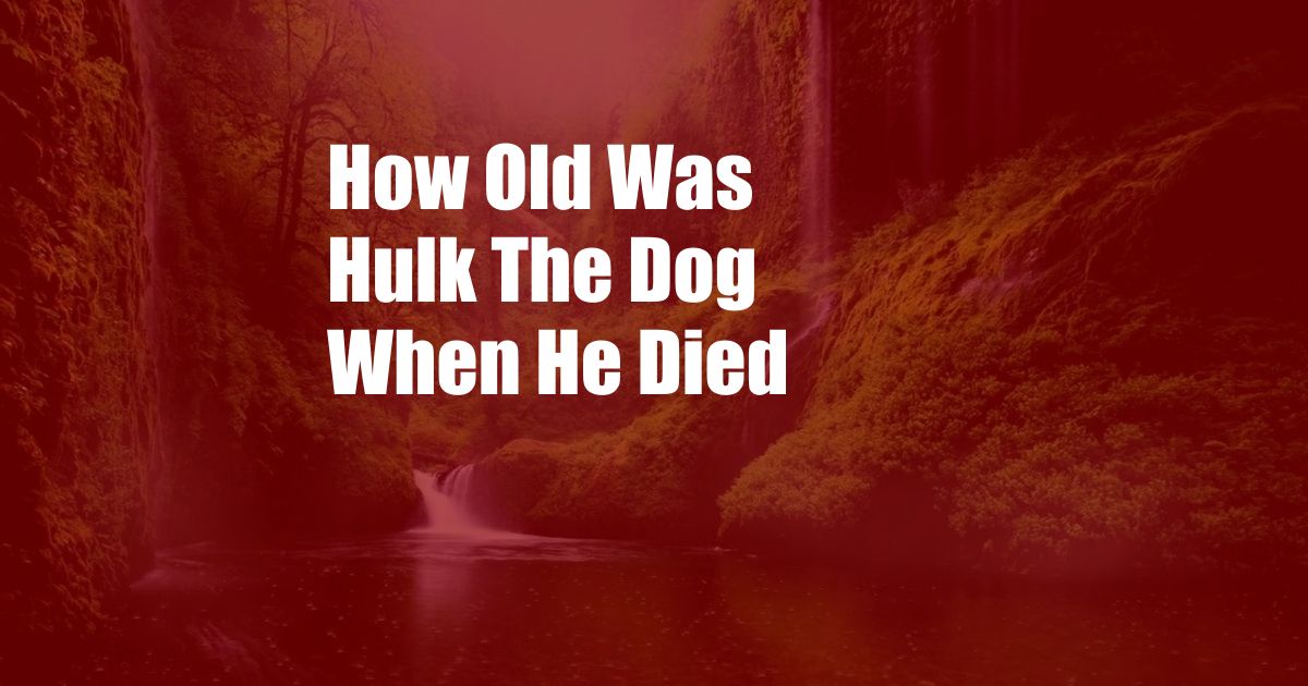 How Old Was Hulk The Dog When He Died
