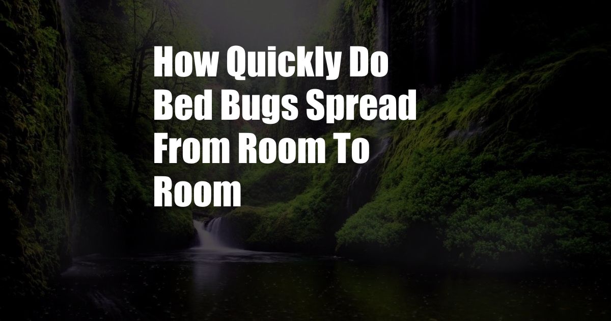 How Quickly Do Bed Bugs Spread From Room To Room