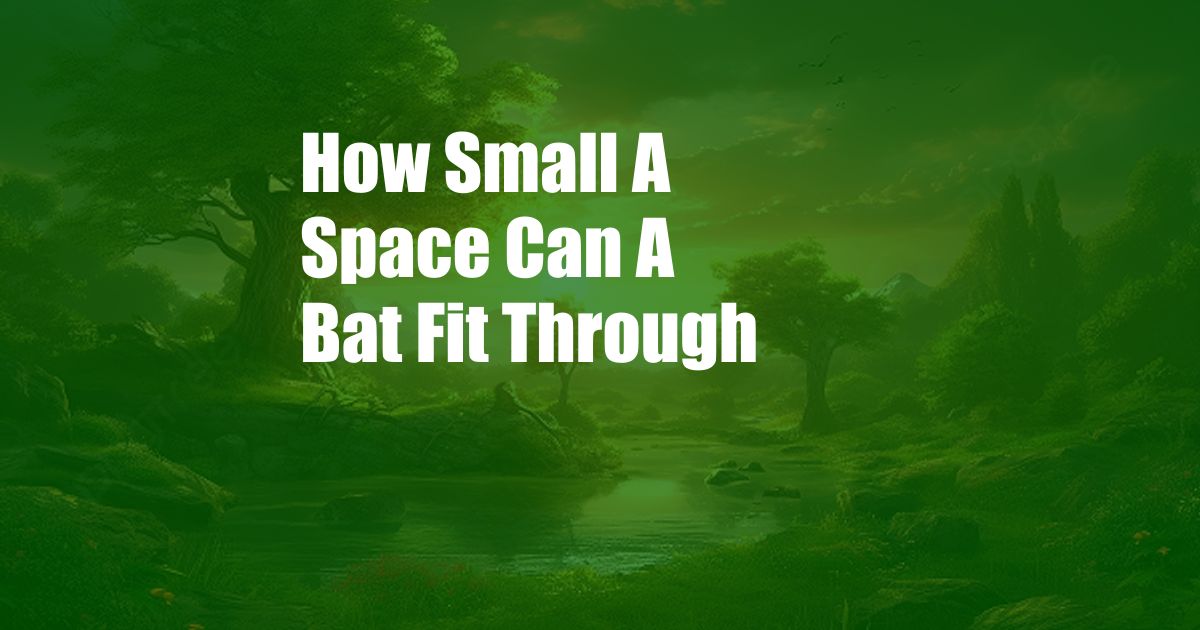 How Small A Space Can A Bat Fit Through