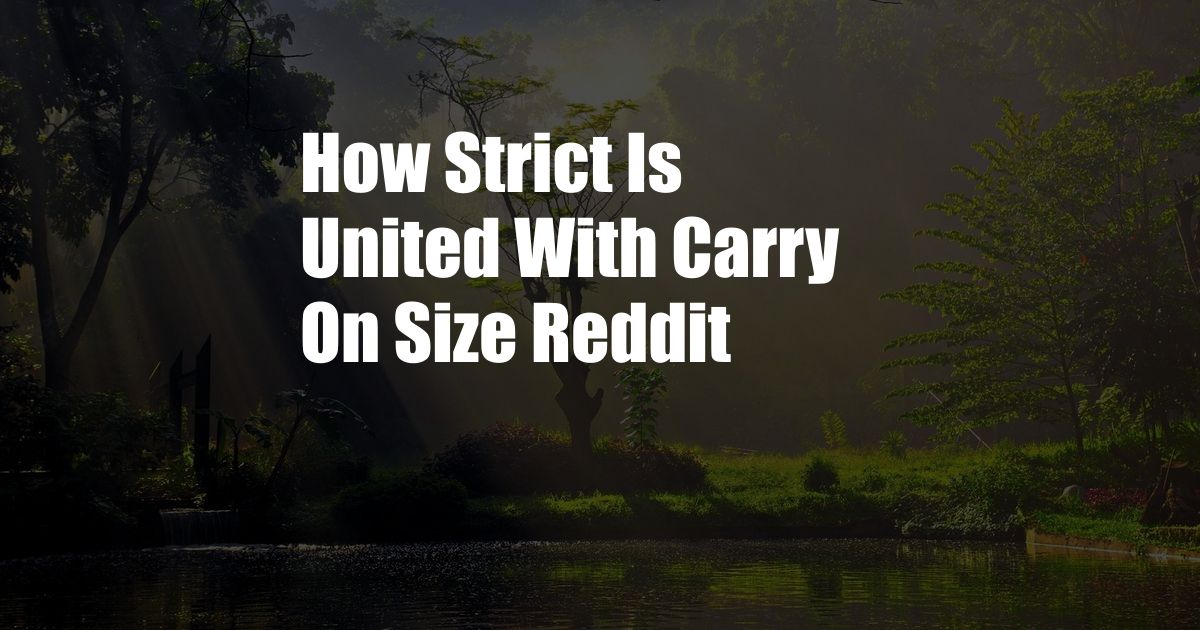 How Strict Is United With Carry On Size Reddit