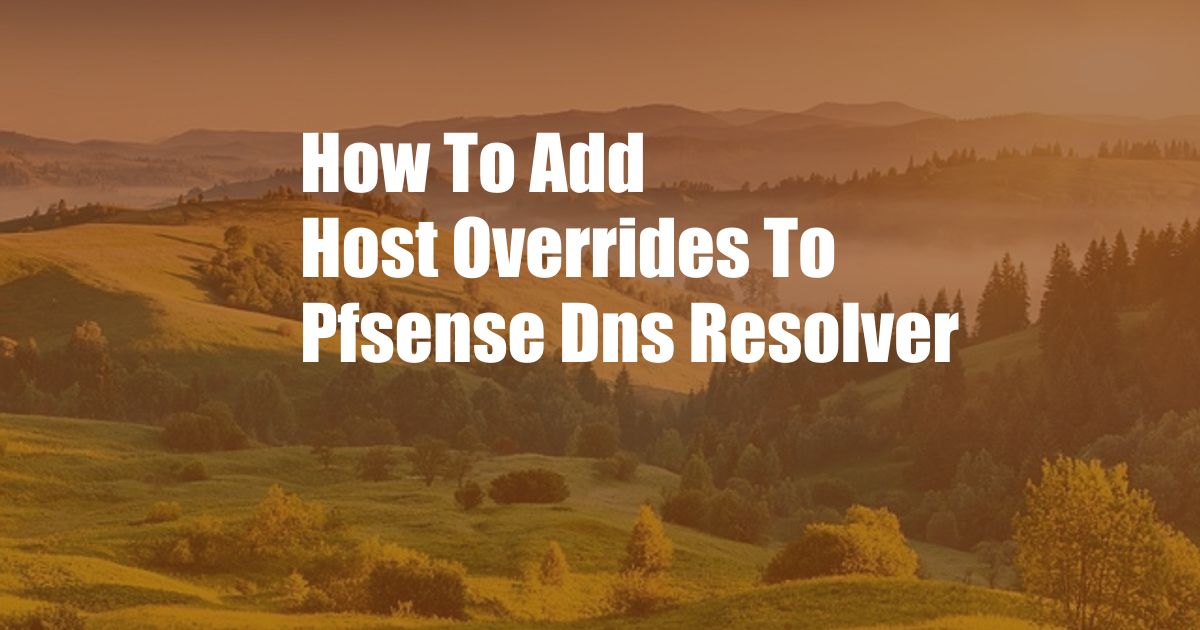 How To Add Host Overrides To Pfsense Dns Resolver