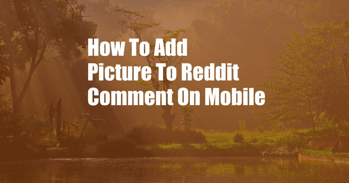 How To Add Picture To Reddit Comment On Mobile