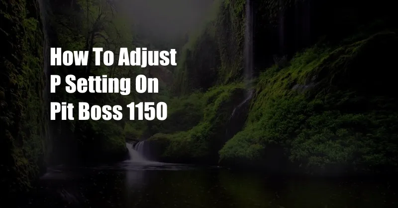 How To Adjust P Setting On Pit Boss 1150