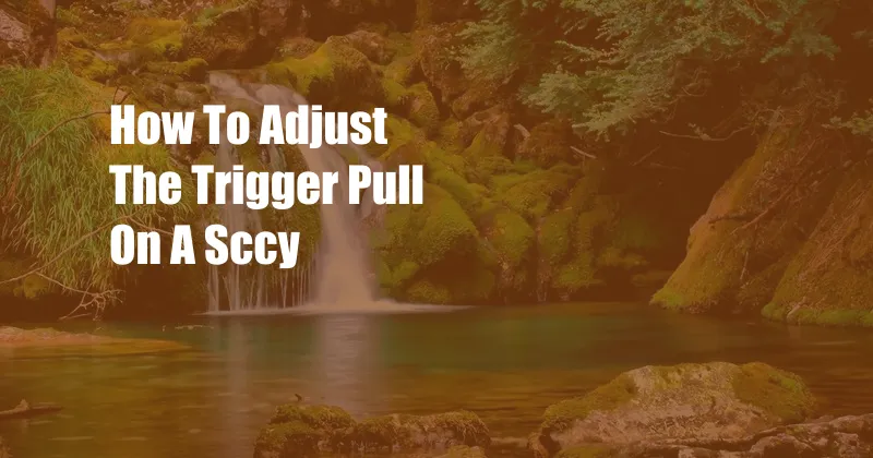 How To Adjust The Trigger Pull On A Sccy