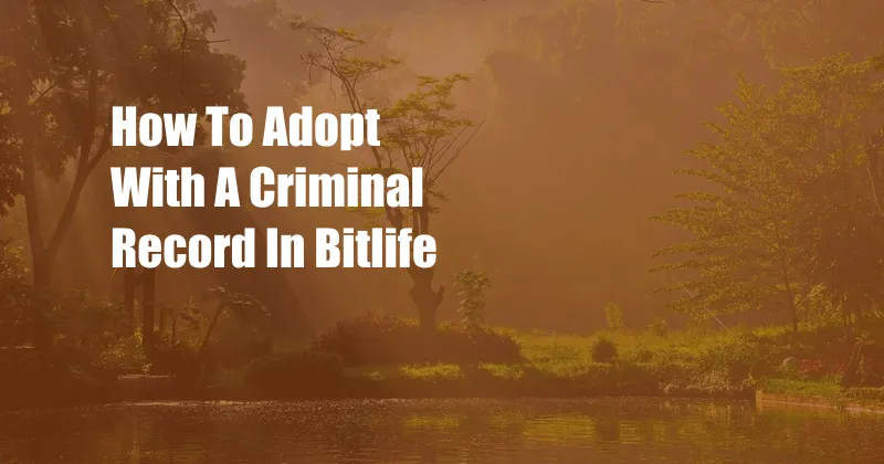 How To Adopt With A Criminal Record In Bitlife