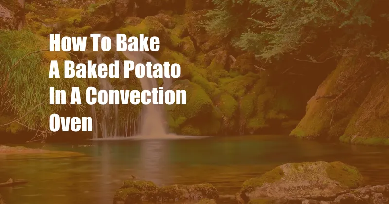 How To Bake A Baked Potato In A Convection Oven