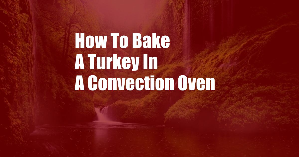 How To Bake A Turkey In A Convection Oven