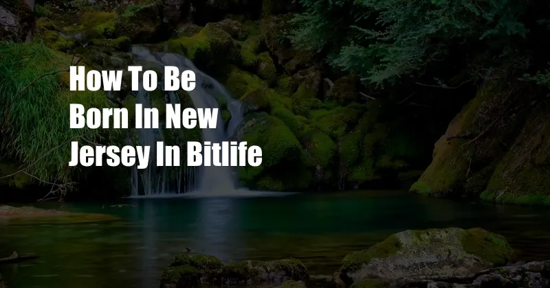 How To Be Born In New Jersey In Bitlife