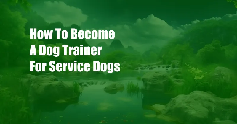 How To Become A Dog Trainer For Service Dogs