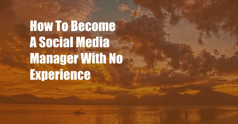 How To Become A Social Media Manager With No Experience