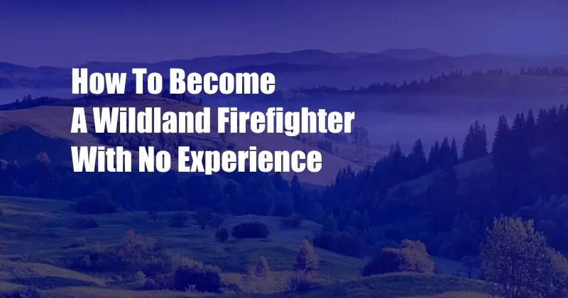 How To Become A Wildland Firefighter With No Experience