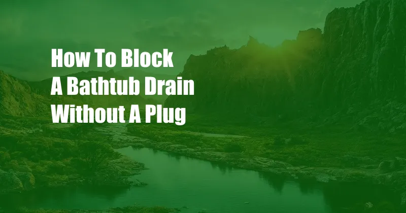 How To Block A Bathtub Drain Without A Plug