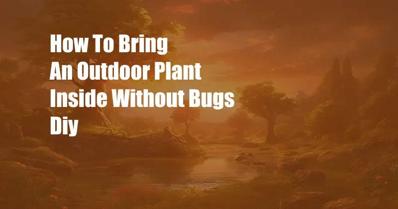 How To Bring An Outdoor Plant Inside Without Bugs Diy