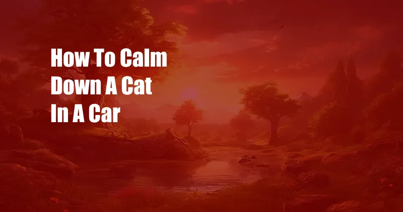 How To Calm Down A Cat In A Car