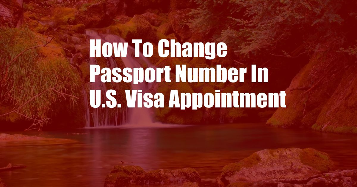 How To Change Passport Number In U.S. Visa Appointment