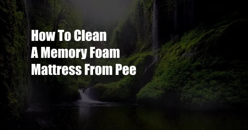 How To Clean A Memory Foam Mattress From Pee