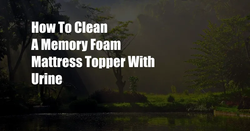 How To Clean A Memory Foam Mattress Topper With Urine